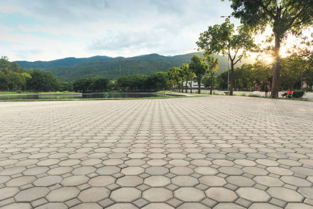 Best Driveway Repair Near Me  in Laramie, WY