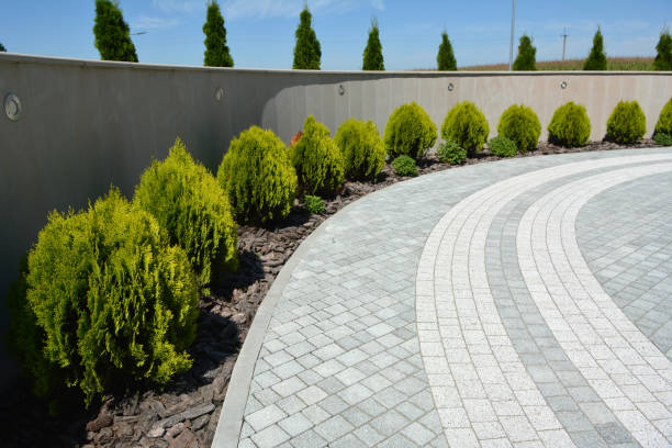 Reasons to Select Us for Your Driveway Paving Requirements in Laramie, WY